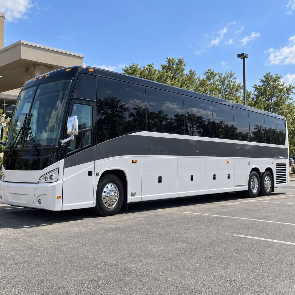 charter buses to wild adventures theme park in valdosta make field trips unforgettable